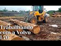 SEPARANDO UMAS TORAS COM A VOLVO L70