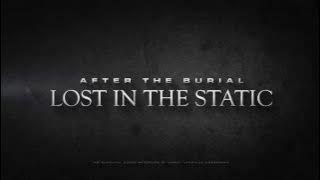AFTER THE BURIAL - Lost In The Static Full Cover by Mikkel And Zack Harvey