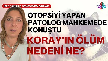 KORAY ÇELİK'İN ÖLÜM NEDENİ NE? OTOPSİYİ YAPAN PATOLOG MAHKEMEDE KONUŞTU!