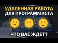 Что ждет программистов на удаленной работе? || Удаленка для программиста или разработчика