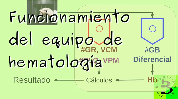 ⚛ Funcionamiento de los equipos de hematología