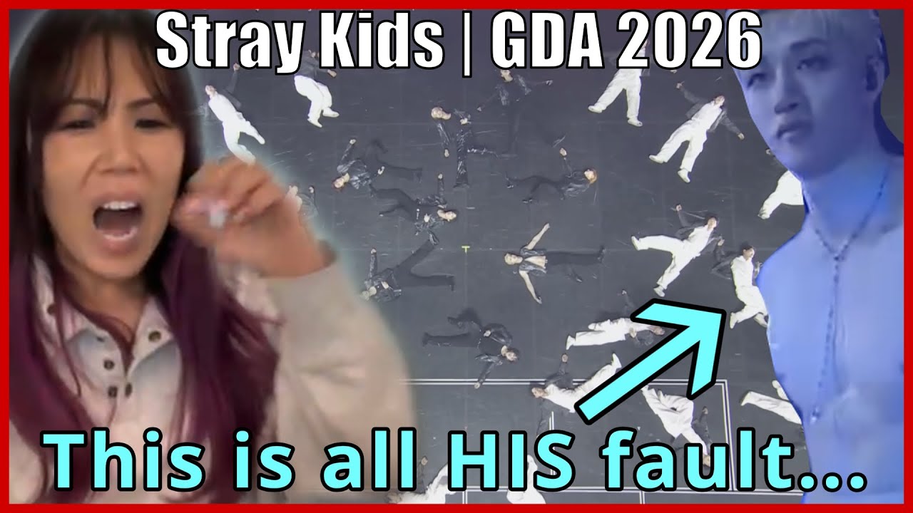 Меня беспокоит, как часто я теряла сознание 😩 Stray Kids меня просто разнесли в пух и прах на GDA...