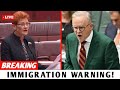 Pauline Hanson GOES OFF on Labor’s Immigration Plan – “Australia Is Losing Its Identity”