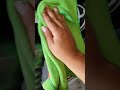 Adam's Polishes Water Spot Remover Review