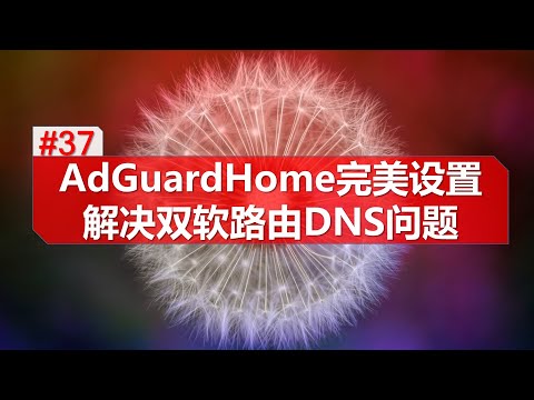 AdGuardHome完美设置双软路由DNS服务 防污染 防劫持 科学上网无忧 光速上网 smartdns pi-hloe AdGuard Home