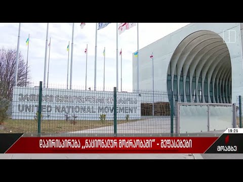 დაპირისპირება „ნაციონალურ მოძრაობაში“ - შეფასებები