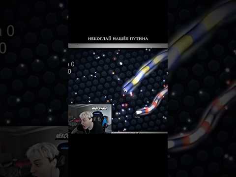 НЕКОГЛАЙ | НАШЁЛ ПУТИНА😂 #некоглай #nekoglai #тикток #tiktok #shorts