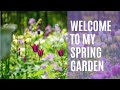 Welcome to my spring garden 