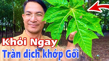 Khỏi ngay Tràn dịch khớp Gối. PHAN HẢI Channel