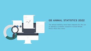 Animal Research Statistics Great Britain 2022 Overview
The annual statistics of scientific procedures on living animals in Great Britain in 2022 have been released.
The total number of procedures on animals in 2022 was 2,761,204, which is a 10% decrease from 2021.
The most commonly used animals in #AnimalResearch in Great Britain in 2022 were mice (71.39%), fish (13.44%), rats (6.73%), and birds (4.93%). Some animals are given extra protections in GB law, and these animals can only be used in research when no other animal is suitable. Overall, protected species were used in 0.53% of GB research in 2022.
For more detailed information, please visit our website:
Animal research statistics for Great Britain in 2022:
https://www.uar.org.uk/news/animal-research-statistics-for-great-britain-2022
Ten Organisations account for half of all research in Great Britain in 2022:
https://www.uar.org.uk/news/ten-organisations-account-for-half-of-all-animal-research-in-great-britain-in-2022?fbclid=IwAR0d-HWGgCBsxsGTWs2Ik_FaEDUSmdrW3zxV1H_ua0feeL7o_K8rxftZlY8
https://www.understandinganimalresear...
To stay updated on the latest animal research news, subscribe to our newsletter: https://www.understandinganimalresear...
Follow us on
Facebook: https://www.facebook.com/UnderstandingAnimalResearch
Twitter: https://twitter.com/animalresearch
Instagram: https://www.instagram.com/understandinganimalresearch/
LinkedIn: https://www.linkedin.com/company/understanding-animal-research Animal Research Statistics Great Britain 2022 Overview