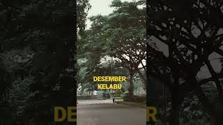 Download Lagu Harvey Malaihollo - Desember Kelabu MP3 Download Lagu Harvey Malaihollo - Desember Kelabu MP3