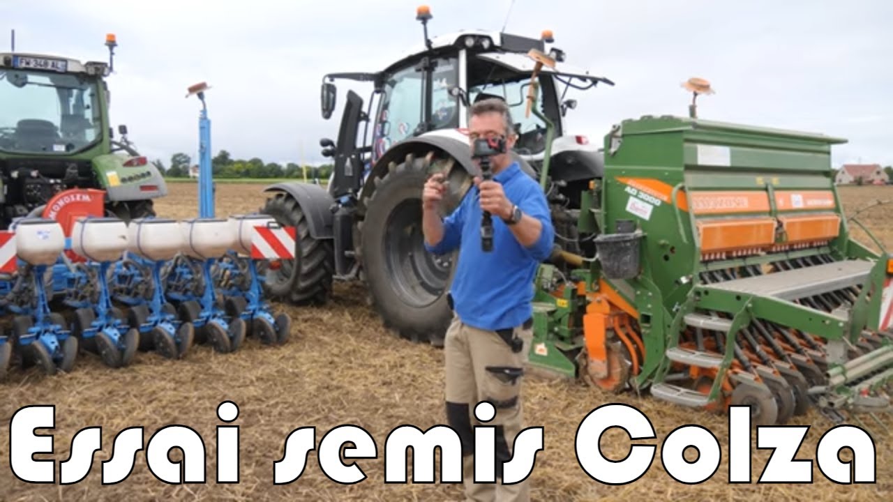 Essai semis Colza ES CAPELLO avec plante compagne ou Alicia.