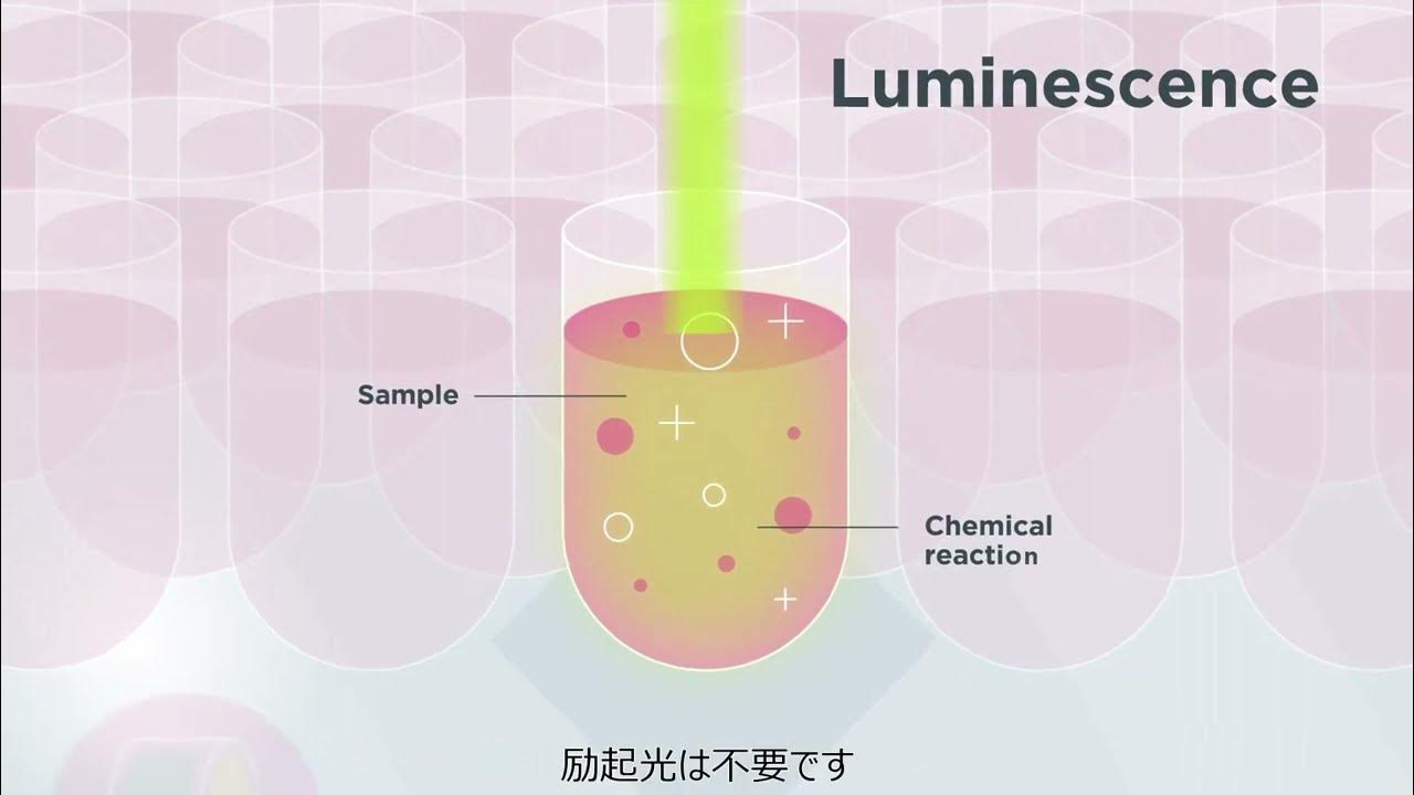 Luminescence How does it work in plate reader? YouTube