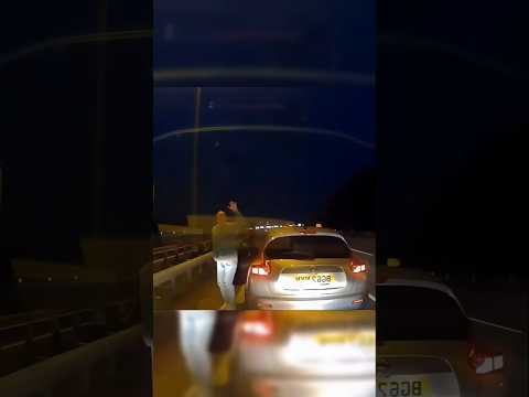 Мужчина Остановился На Трассе, Чтобы Сделать Это! 🚘 🛣
