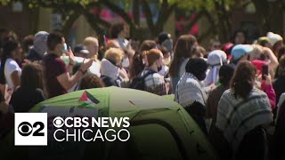 Pro-Palestinian protest encampment comes to DePaul campus