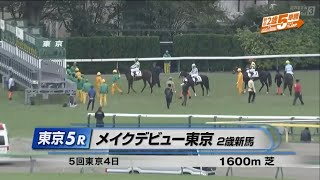 【2歳新馬/ノーブルロジャー】メイクデビュー東京［2023.11.12 東京第5R/1600m 芝］