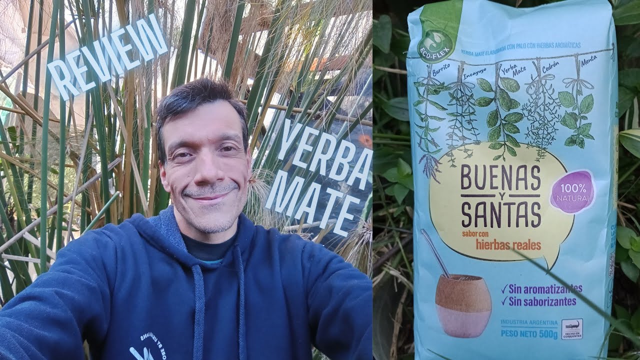 yerba-mate-buenas-y-santas-enamoradodelasplantas-youtube