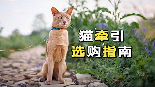 遛猫3年我竟然买过这么多猫牵引