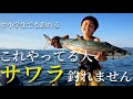 早巻きだけが正解じゃないサワラキャスティングで釣果を伸ばす方法【ナブラ打ち】