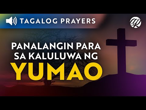Video: Kung gaano nakakapinsala ang mga laro sa computer ay nagiging isang kapaki-pakinabang na isport