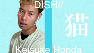 DISH// (本田圭佑) - 猫 / THE FIRST TAKE　篇