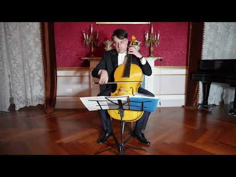 Video G. B. Degli Antonii Ricercata II / Luigi Chiarizia, violoncello piccolo a 5 corde