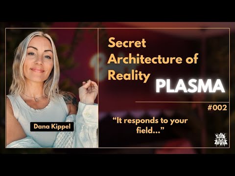Plasma Pixels: Understanding the Interface of Reality with Dana Kippel (@Dana.thealien)