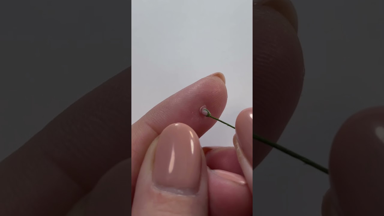 Making mini rose with air dry clay tutorial 