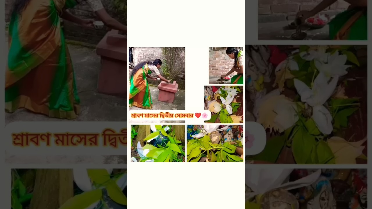 মহাদেব❤️🌸 #harharmahadev #mahadev #mahakal #bholenath #shorts #status #subscribe @RimiNaskar672