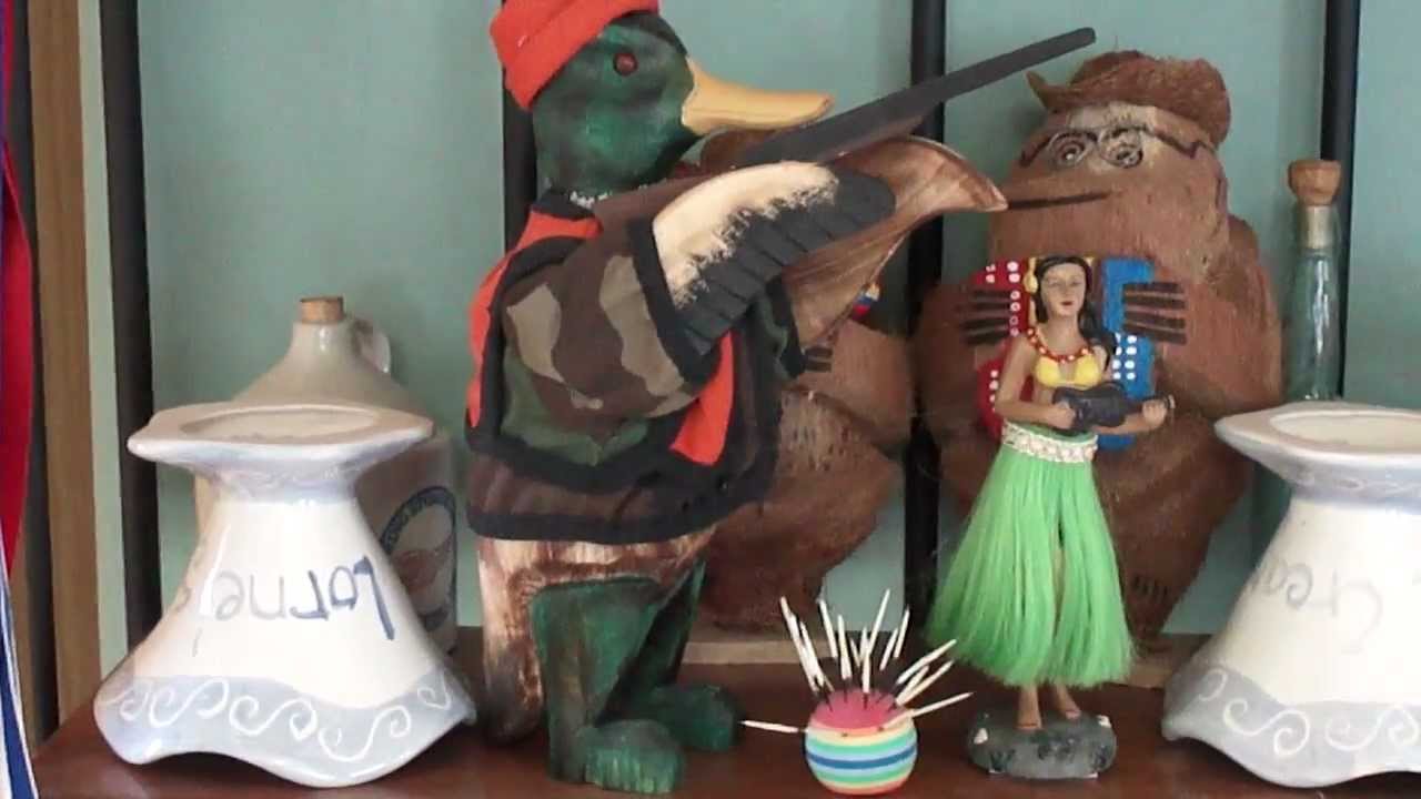 Wildlife at Carnwood porcupine moose and birds.avi