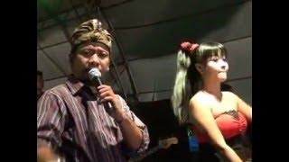 Kebelet Kwin – Ririn Goyang Hot sama Romly ll DANGDUT PANTURA di SEMARANG Terbaru