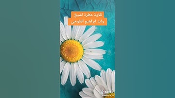 القران الكريم بصوت الشيخ القارئ وليد ابراهيم رحمه الله