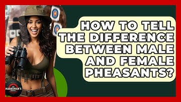 How To Tell The Difference Between Male And Female Pheasants? - The Marksman