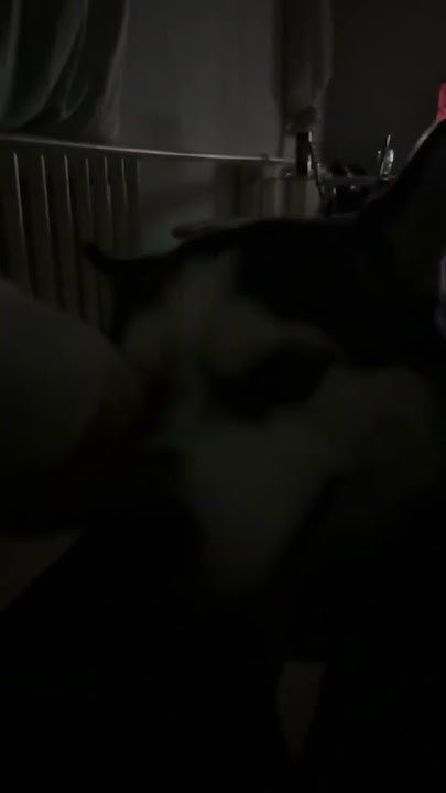 youtube.com