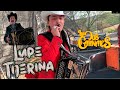 Huapango Lupito Tijerina | Los Dos Carnales