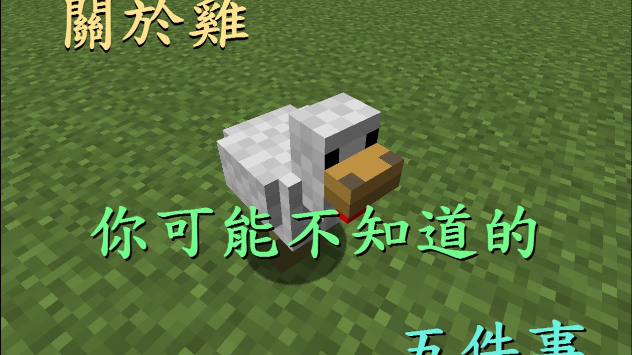 Minecraft 關於雞 你可能不知道的五件事 - YouTube