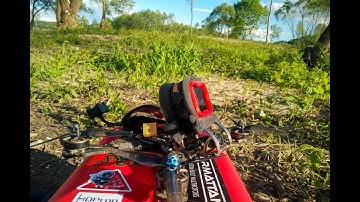 Trying out Betaflight RPM filter | FPV Freestyle