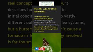 The Erfly Effect.. Is It Real?