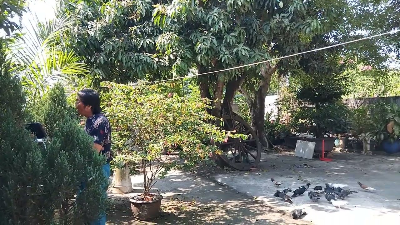 Câu Chuyện Đầu Năm | Sáng tác: Hoài An | Tuyệt phẩm về mùa Xuân của 2 Thanh Kẹo Kéo