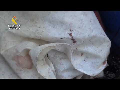 Detenido un hombre por el homicidio de un vecino de Ejea con arma blanca