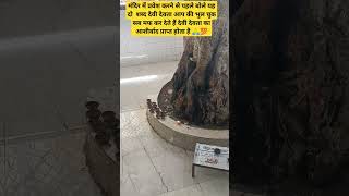 नमः शिवाय  मंत्र जरूर बोलना चाहिए मंदिर में प्रवेश करने से पहले ?????