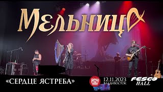 Мельница - Сердце ястреба (Live • Владивосток • 12.11.2023)