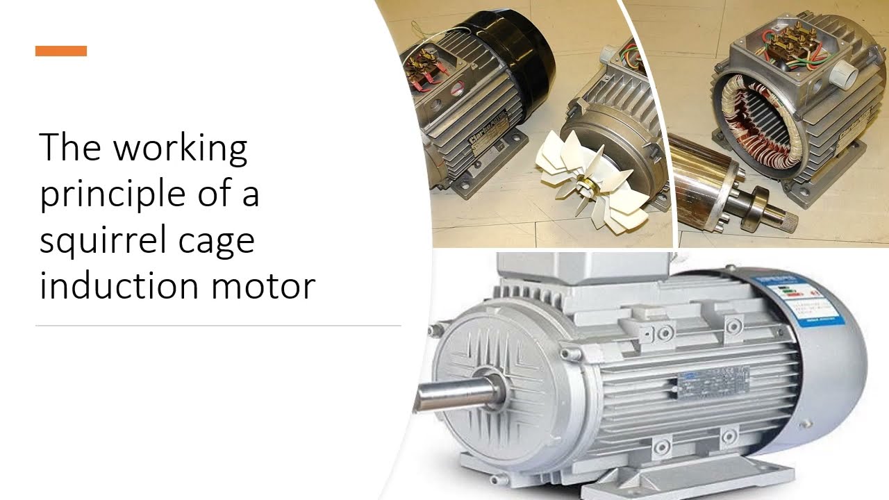 The working principle of a squirrel cage induction motor