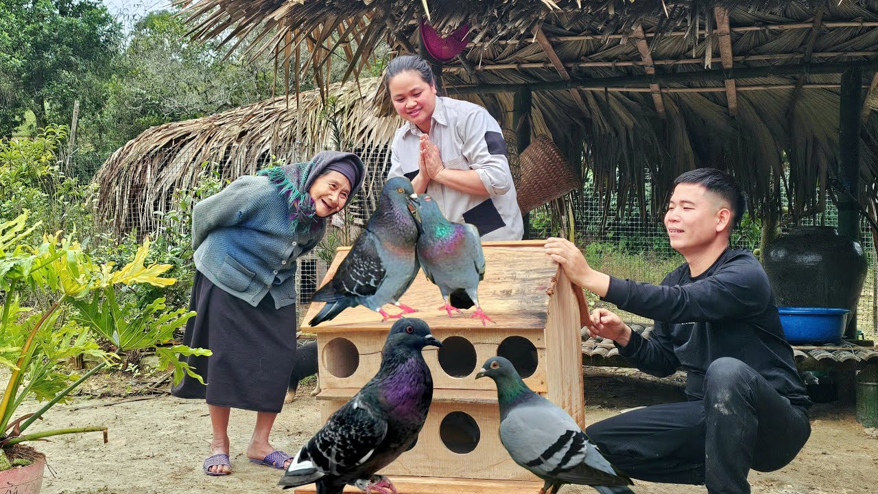 The old woman and the homeless girl really liked the pigeon coop that Mr. Khang made.