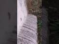 kundaru hidden places #harshan #shorts #tenkasi #trending