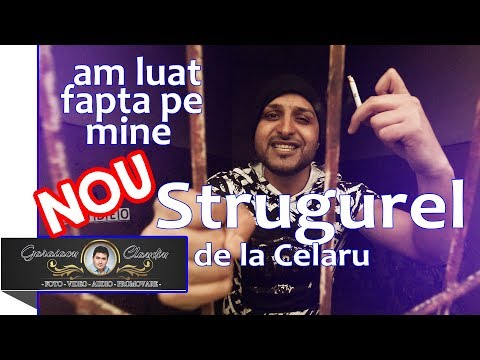 STRUGUREL DE LA CELARU - AM LUAT FAPTA PE MINE [ Oficial Video | ALBUM ]