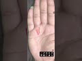 सरकारी नौकरी का संकेत #rishabhjithepalmist #fortunetelling #palmreading #astrology #asmrsounds