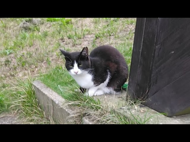 まるです18。-I am Maru 18.- - YouTube