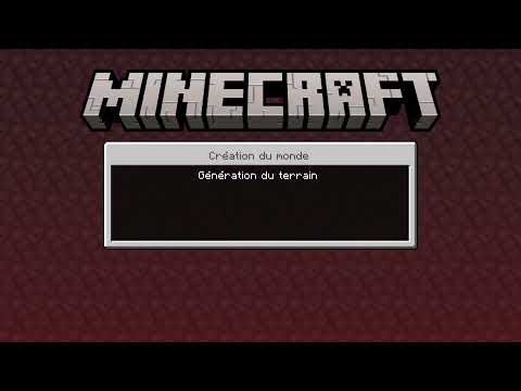 Minecraft : Portail du Nether