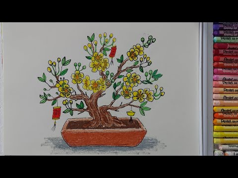 Cách Vẽ Hoa Mai đơn giản | Vẽ Cây hoa Mai ngày tết